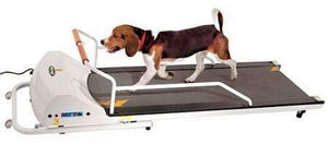 Gopet Petrun Pr720f Dog Treadmill