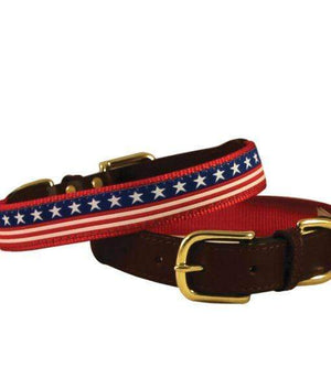 Pet Stop Store 1”W x 14”L Stars & Stripes American Collection Dog Collar & Leash