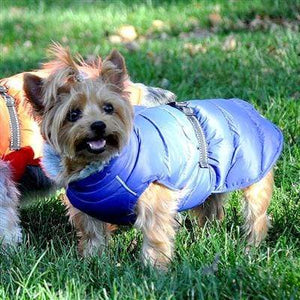 Pet Stop Store Blue Alpine Extreme Cold Puffer Dog Coat