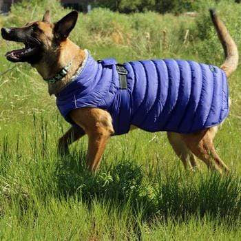 Blue Alpine Extreme Cold Puffer Dog Coat