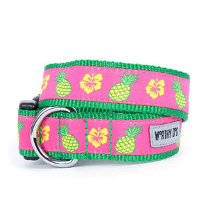Pet Stop Store Collar Cute & Playful Pineapples Dog Collar & Leash