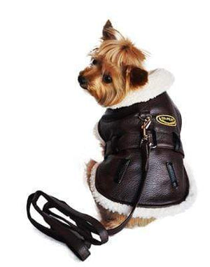 Pet Stop Store Extra Small / Black Stylish Brown Vintage Bomber Dog Coat & Leash