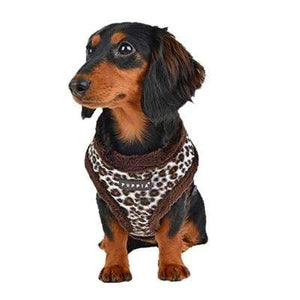 Pet Stop Store s brown Leonard Leopard Black & Brown Dog Harness
