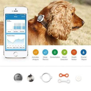 Pet Stop Store Smart Activity Pet Tracker Monitor w/Build In Calendar