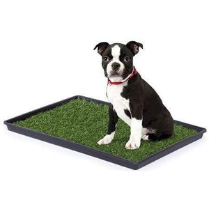 Prevue Hendryx Tinkle Turf - Small
