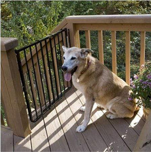 Cardinal Stairway Special Outdoor Pet Gate - White