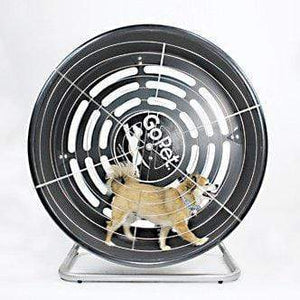 Gopet Gopet Treadwheel For Small Dogs