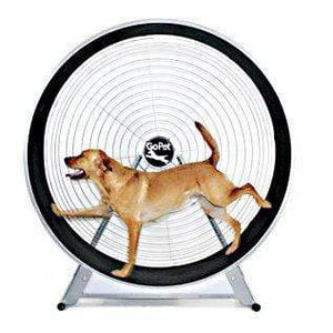 Gopet Gopet Treadwheel For Large Dogs
