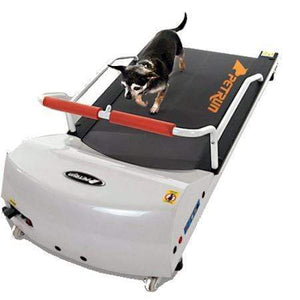 Gopet Petrun Pr700 Dog Treadmill