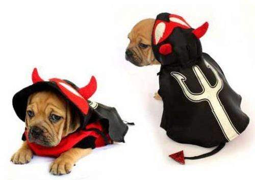 Halloween Red & Black Dirty Devil Costume for Dogs