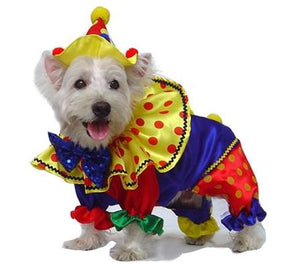 Pet Stop Store 0 Fun & Playful Polka Dot Red Yellow & Blue Clown Dog Costume