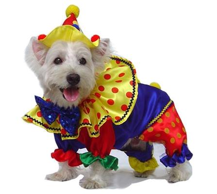 Fun & Playful Polka Dot Red Yellow & Blue Clown Dog Costume