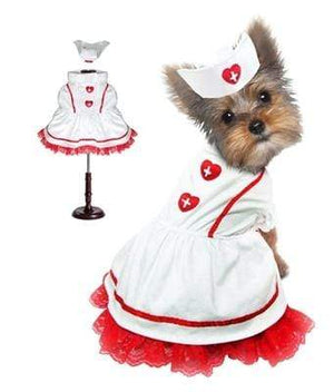 Pet Stop Store 1 Fun & Cute Red & White Nurse Halloween Dog Costume