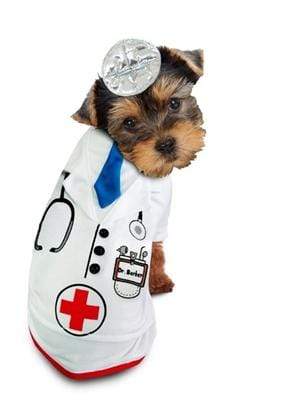 Pet Stop Store 1 Fun & Playful One Piece Doctor Barker Dog Costume