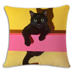 Pet Stop Store 12 / 45x45cm Fun & Playful Decorative Cat Lovers Pillow Covers