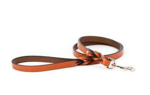 Pet Stop Store Braided Leash