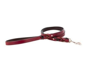 Pet Stop Store Braided Leash