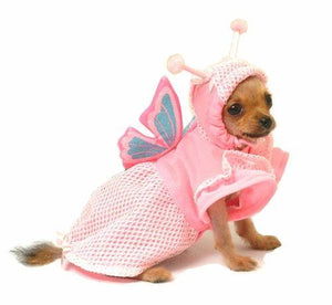 Pet Stop Store Lady Butterfly Dog Costume