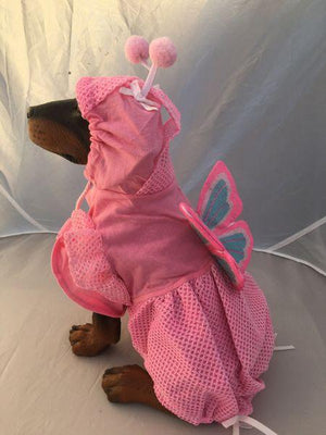 Pet Stop Store Lady Butterfly Dog Costume