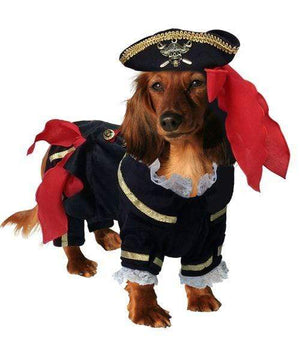 Pet Stop Store Buccaneer Pirate Dog Costume