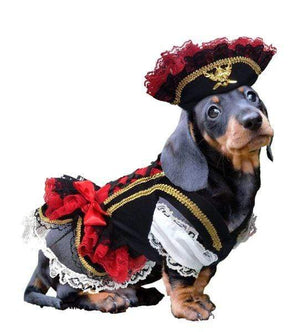 Pet Stop Store Swashbuckler Pirate  Dog Costume
