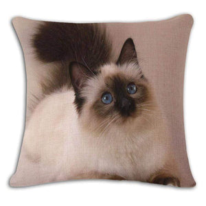 Pet Stop Store 3 / 45x45cm Fun & Playful Decorative Cat Lovers Pillow Covers