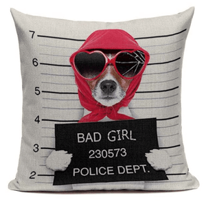 Pet Stop Store 45X45cm Fun & Playful Decorative Bad Girl Mugshot Pet Pillow Cover