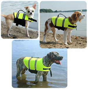Pet Stop Store All Paws Aboard Yellow Dog Life Jacket All Sizes
