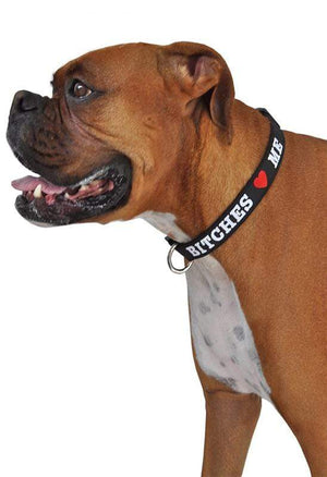 Pet Stop Store Bitches Love Me Black Dog Collar All Sizes