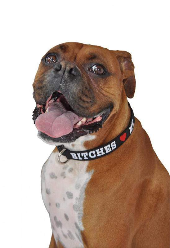 Bitches Love Me Black Dog Collar All Sizes