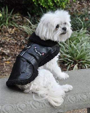 Pet Stop Store Black Top Vintage Flight Jacket & Leash for Dogs