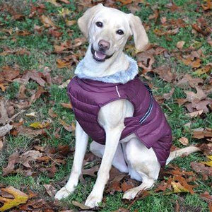Pet Stop Store Purple Alpine Extreme Cold Puffer Dog Coat