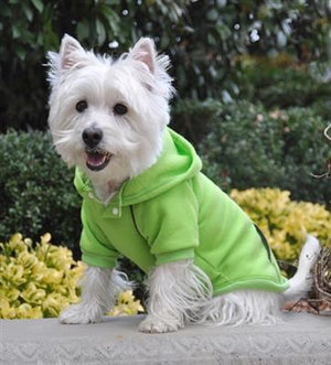Pet Stop Store Casual Green Flash Sports Dog Sweatshirt with Hoodie