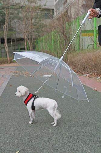 Clear Dog Umbrella