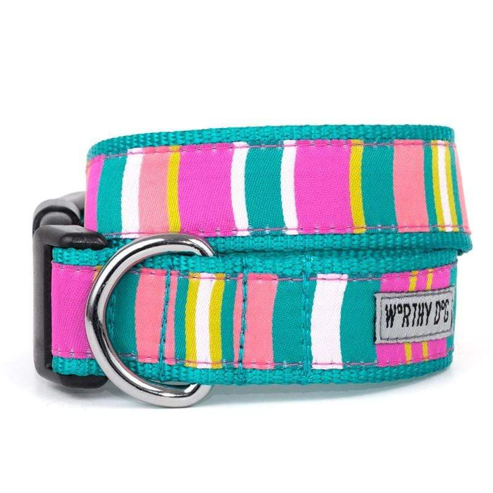 Cute & Playful Fiesta Stripe Dog Collar & Leash Included