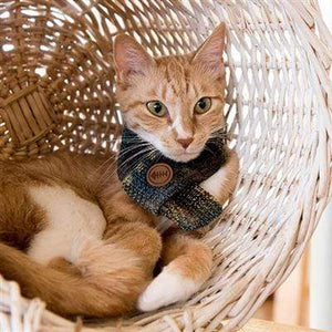 Pet Stop Store Cute, Cozy Wool Blue & Khaki Lyra Cat Scarfs
