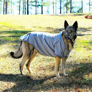 Pet Stop Store Cute Sporty Gray Dog Hoodie