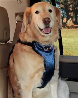 Pet Stop Store Deluxe Car Safety Dog Car Harness - 4 Sizes Available