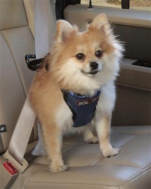 Pet Stop Store Deluxe Car Safety Dog Car Harness - 4 Sizes Available