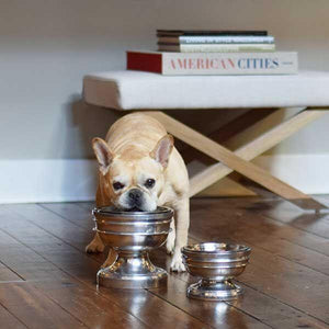 Pet Stop Store Elegant & Contemporary Aluminum Chalice Dog Feeders/Bowls