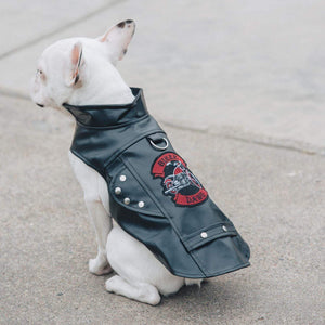 Pet Stop Store Embroidered Biker Dog Motorcycle Black Jacket All Sizes