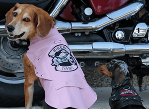 Pet Stop Store Extra Small / Pink Embroidered Biker Dog Motorcycle Pink Jacket All Sizes