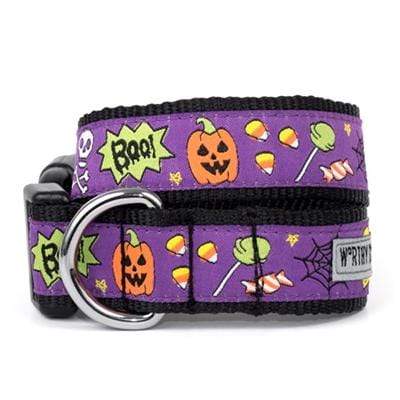 Fright Night Purple & Orange Halloween Collar Pet Stop Store
