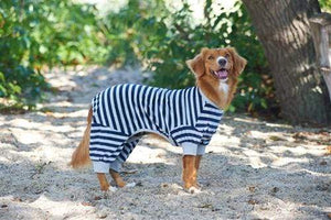 Pet Stop Store Fun & Playful Striped Blue Pajama for Dogs