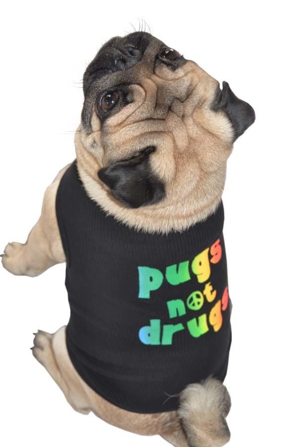 Fun Pugs Not Drugs Black Dog Tank