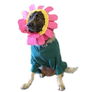 Pet Stop Store Halloween Pink & Green Flower Petal Dog Costume