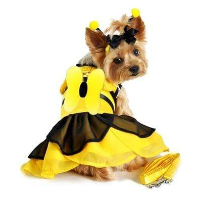 Halloween Yellow & Black Bumble Bee Dog Costume