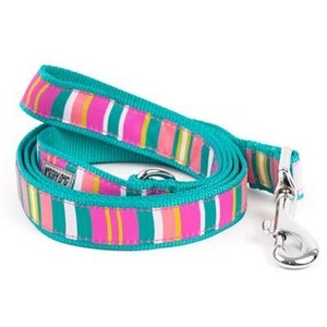 Pet Stop Store Leash Cute & Playful Fiesta Stripe Dog Collar & Leash Included
