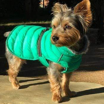 Lime Green Alpine Extreme Cold Puffer Dog Coat