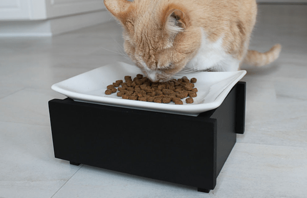 Modern & Stylish Whisker Stress Free Cat Dish